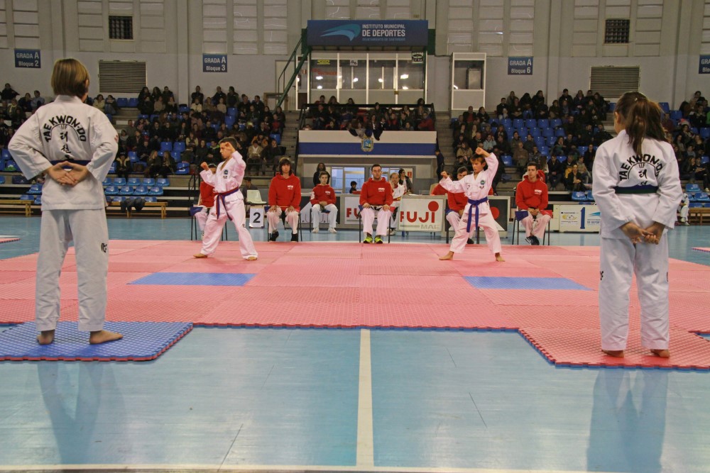 Taekwondo Dic 2016 (218).jpg